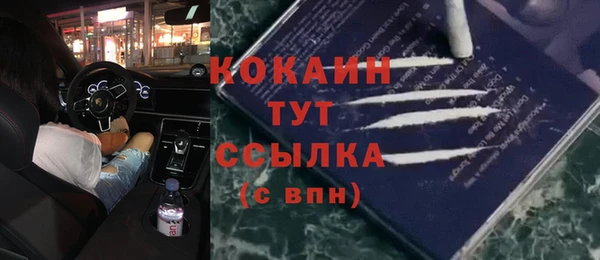 сатива Белоозёрский