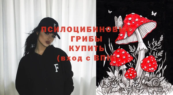 сатива Белоозёрский