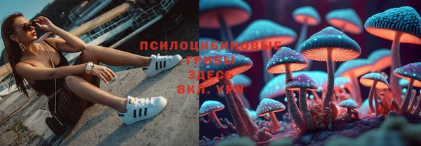 сатива Белоозёрский