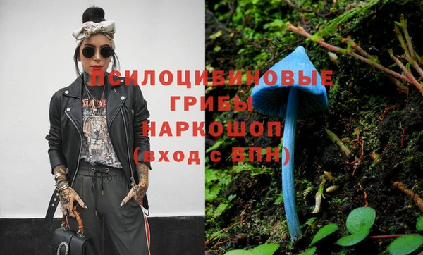 МДМА Белокуриха