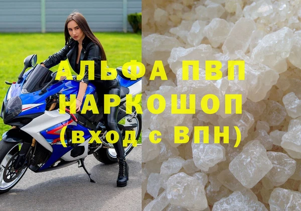 сатива Белоозёрский