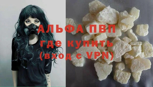 сатива Белоозёрский